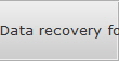 Data recovery for Mesa data